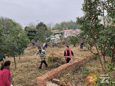 东桥镇马岭村：环境卫生整治显成效 助力乡村“换新颜”