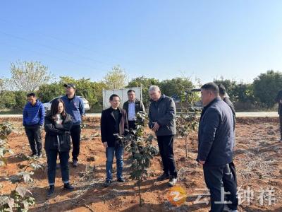 中国林科院专家调研盘石岭林场 共探森林经营发展新路径