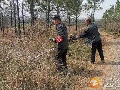 石牌镇石巷村多举措筑牢森林安全“防火墙”