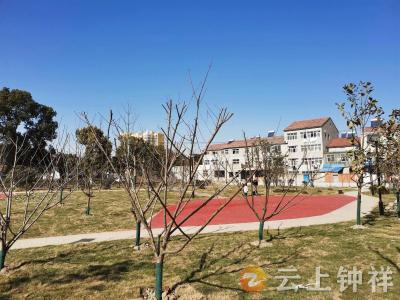 湖北钟祥：人大代表助力，共享公园建在居民家门口