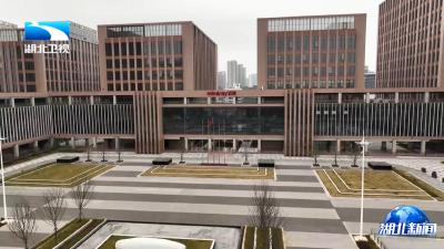 牢记嘱托 建成支点·走进重点项目 | 迈瑞医疗全球第二总部基地今年将在武汉投入使用