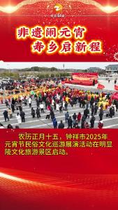 “非遗闹元宵 寿乡启新程”钟祥市2025年元宵节民俗文化巡游展演活动开始了