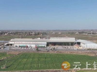 【强县工程看钟祥】钟米生态农业公司：歇人不歇机 力争“开门红”