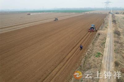 洋梓镇伍庙村：中药材产业成乡村振兴“新引擎”
