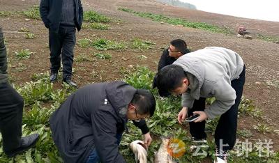 省专家团队“开良方” 为钟祥“温峡有机鱼”产业“把脉问诊”