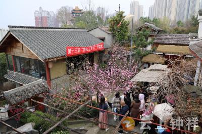 钟祥桃花源居民举办第十三届桃花艺术节