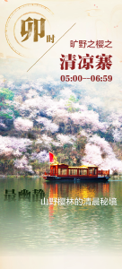 武汉看樱花最美的地方，在这！从早到晚不间断