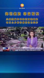 央视报道湖北钟祥梅花绽放春意渐浓