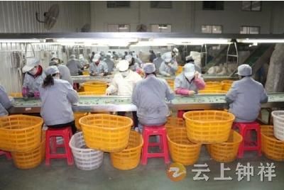 钟祥兴利食品股份有限公司“三管齐下”保增长