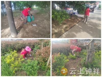 磷矿镇吉庆村：“积分制”激活乡村治理“新动能”