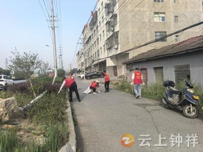 胡集镇：按下人居环境“美颜键” 擦亮美丽城镇“新名片”