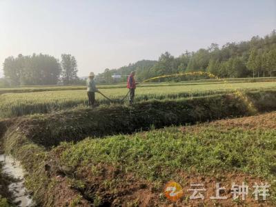钟祥市血防所：灭螺正当时 筑牢健康防线