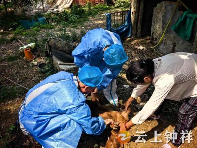 政医联动聚合力  共筑蜱虫防控屏障