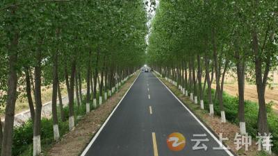 湖北钟祥：农村道路提档升级 铺就乡村振兴“致富道”
