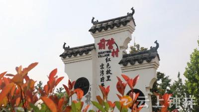 湖北钟祥：红色沃土绽放文明之花