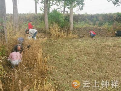 荆门市疾控中心血防所指导钟祥市血吸虫病风险监测工作