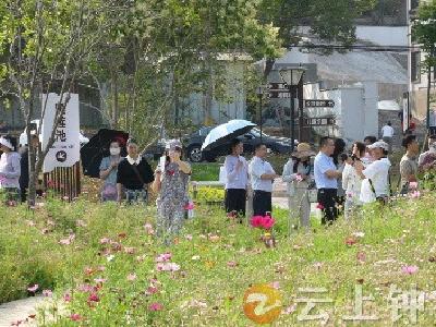 网络媒体聚焦钟祥毕家湾 探访“生态避暑+康养旅居”新图景