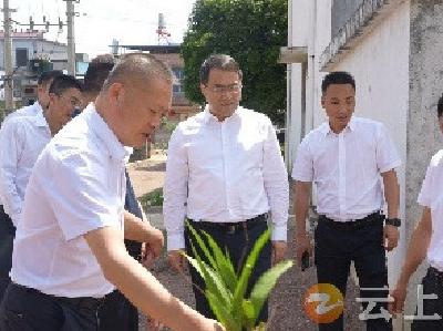 张勇到崇阳县开展区域协作对接工作