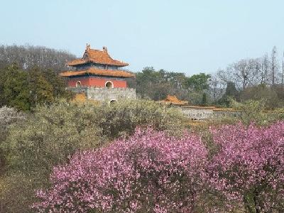 湖北钟祥：不负风光美景 “花样”文旅激活一池春水