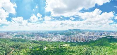 为建成产业转型升级示范区贡献“荆”彩力量 