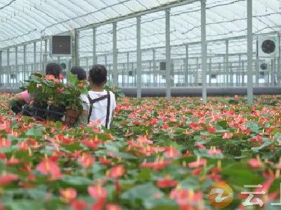“强化支点意识 抬升发展标杆”｜湖北钟祥：加快建成四个样板 六大体系 强化“三农”支点意识