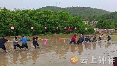 湖北钟祥：稻田民俗盛宴赋能 乡村文旅新图景