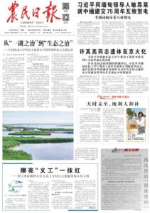 西瓜里的“甜蜜密码”
