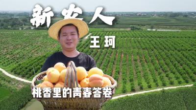 湖北钟祥：桃香里的青春答卷——从快递员到肖山桃王的返乡创业之路