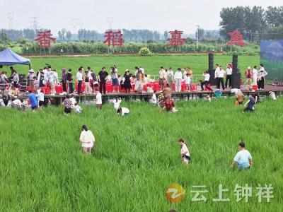 湖北亿隆生态体验园开园 开启田园游新体验