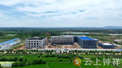 【聚力建支点 冲刺双过半】钟祥新资源食品产业园建设跑出