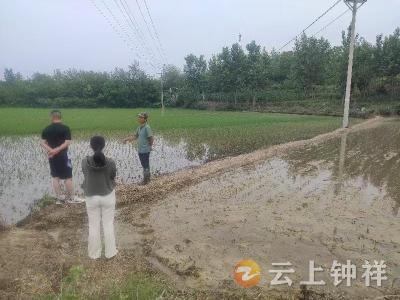 冷水镇郑湾村：网格调解化纠纷 邻里和睦重归好