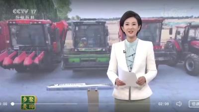 湖北钟祥：芒种节气 央视关注钟祥麦收 