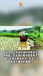 湖北钟祥：稻田里的暖心接力