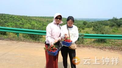 湖北钟祥：工会助农兴农 与长滩