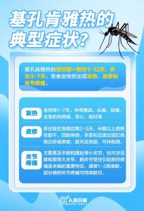 基孔肯雅热的11个关键问题，一次说清→