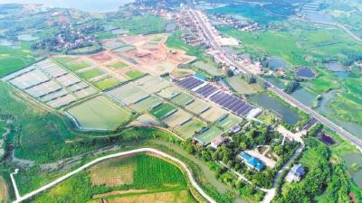 “龟谷”崛起！京山打造全国首家“龟咖”，生态旅游全新玩法震撼来袭