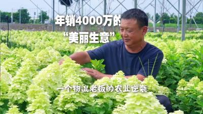湖北钟祥：从物流老板到“花卉大王”！李中东三次跨界书写强农梦