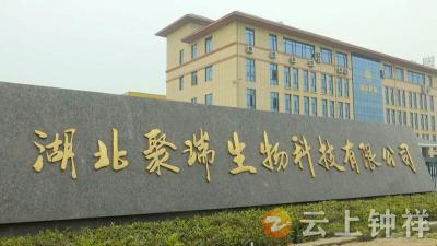 【共建诚信钟祥】​ 湖北聚瑞：诚信经营铸就行业典范