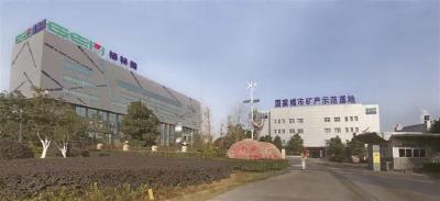 龙头企业作表率 产业倍增活力涌（二）
