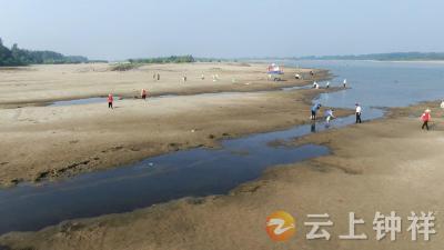 守护一江碧水 共护生态之美 湖北钟祥开展汉江岸线清洁行动