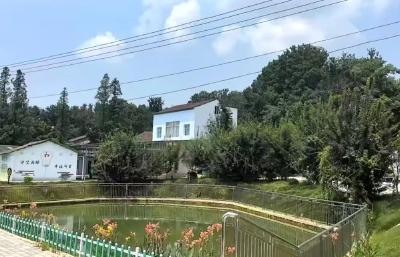 清水碧波展新颜——京山市全力推进农村黑臭水体治理