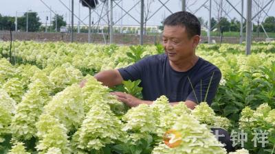 从物流老板到“花卉大王”！李中东三次跨界书写强农梦