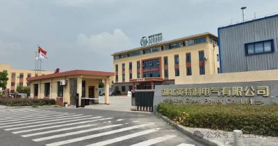 从县城到世界 钟祥氢能“小巨人”的硬核突围
