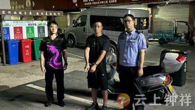钟祥一男子出狱后不思悔改 深夜“拉车门”盗窃再落网