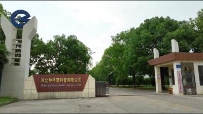 湖北钟祥：共赢“氢”时代 赋能新生态走进钟格