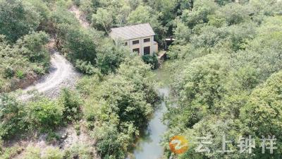 湖北钟祥：提水抗旱保丰收 科学调度灌溉万亩耕地