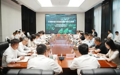 楚商回乡 共建支点丨李楠：家乡的发展，是我的牵挂