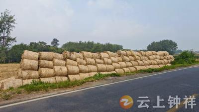 丰乐镇：调研秸秆综合利用 助推农业绿色发展