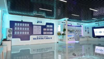 共赢“氢”时代 钟祥“氢”尽全力布局新能源赛道
