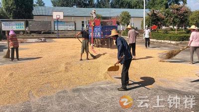冷水镇付泉村：积分制聚合力 邻里互助暖人心